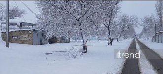 Ağdamda qarın hündürlüyü 15 santimetri keçdi (FOTO)