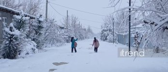 Ağdamda qarın hündürlüyü 15 santimetri keçdi (FOTO)