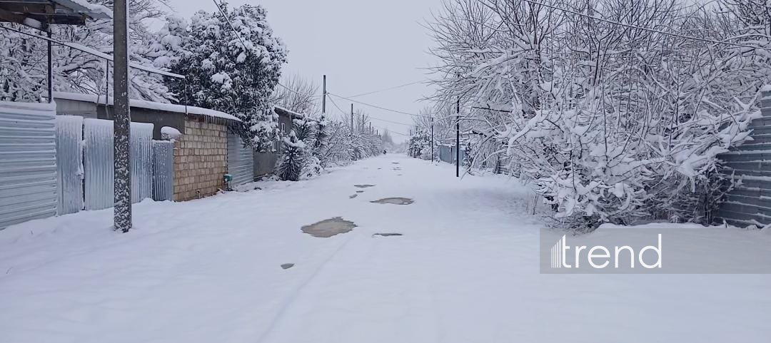 Ağdamda qarın hündürlüyü 15 santimetri keçdi (FOTO)