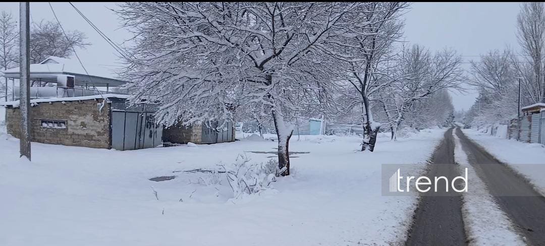 Ağdamda qarın hündürlüyü 15 santimetri keçdi (FOTO)