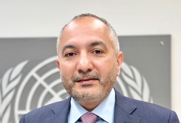 Azərbaycanlıya BMT-də rəhbər vəzifə verildi