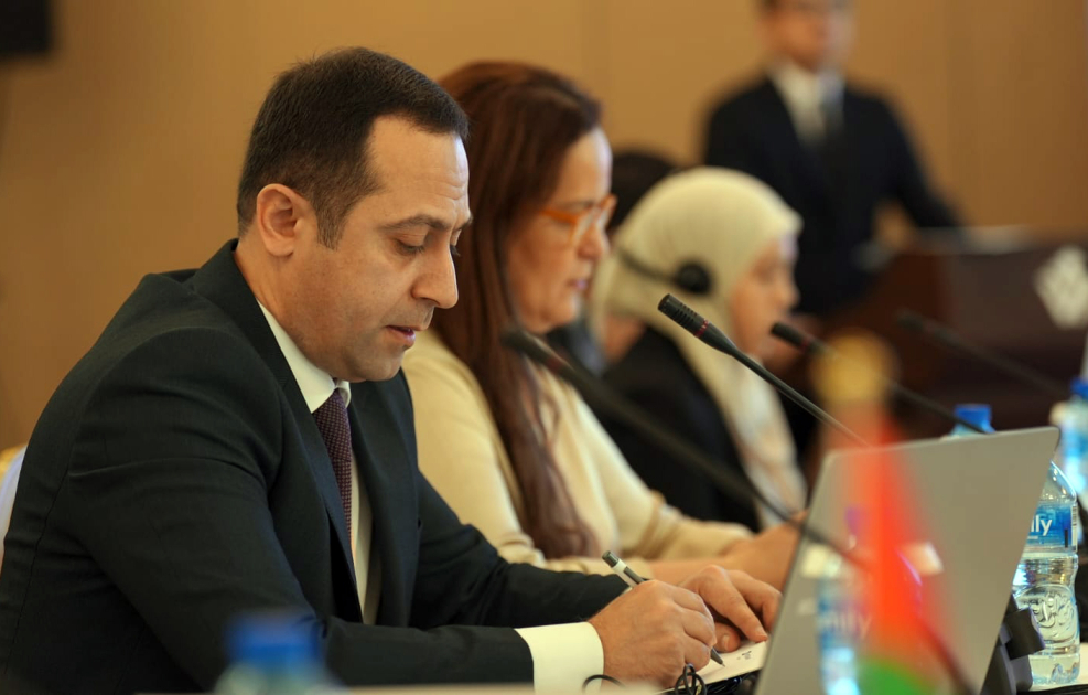 Ordubad şəhəri ICESCO-nun İslam Dünyası İrsinin İlkin Siyahısına daxil edildi (FOTO)