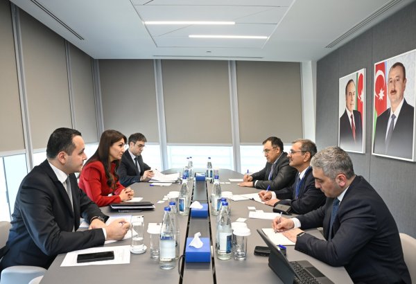 Azərbaycan AİB ilə elektron ticarətin vergiyə cəlb edilməsinə dair layihəni müzakirə edib