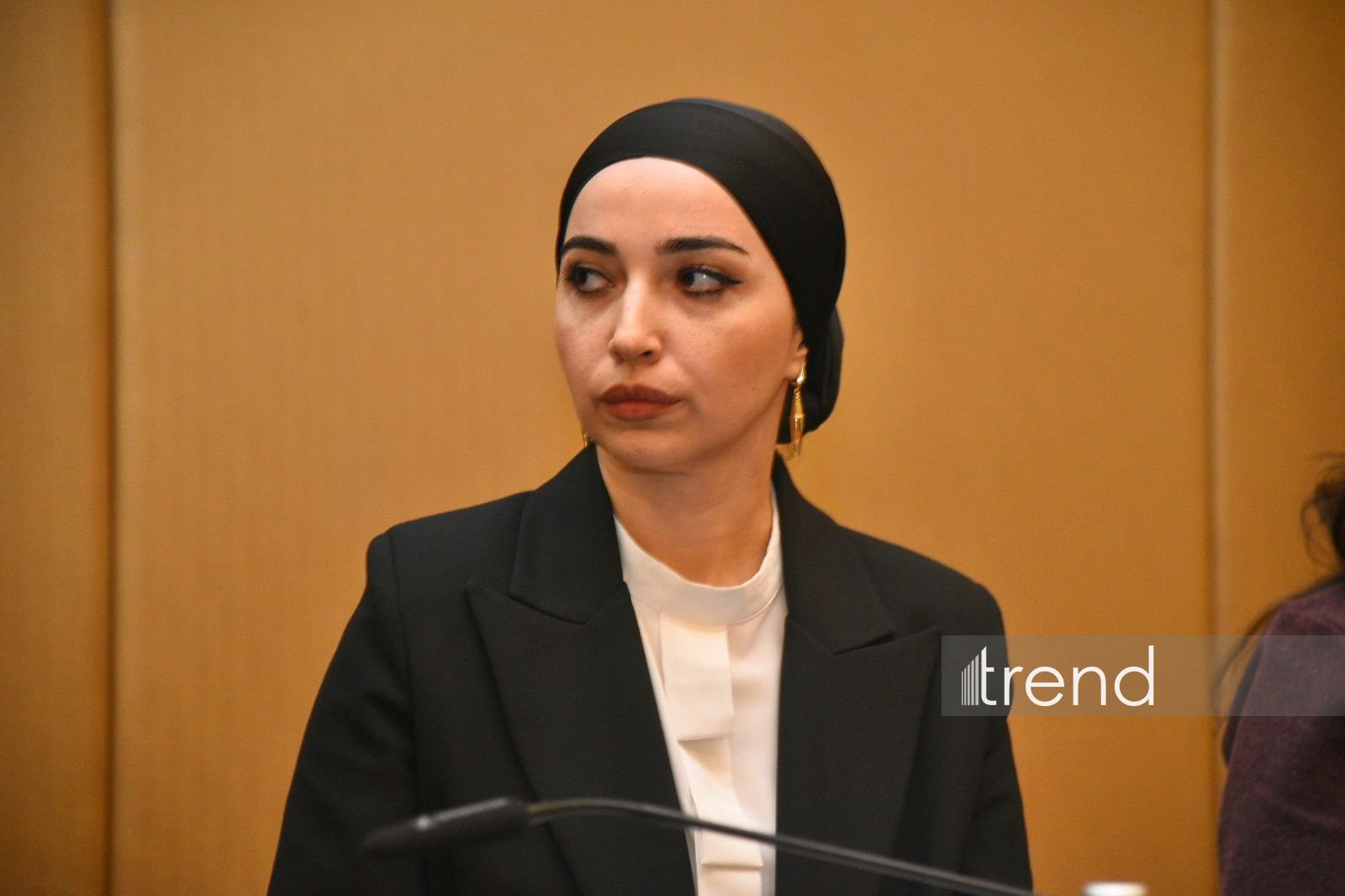 Bakıda "C6: Birləşmiş Region, Ümumi Gələcək - Strateji Dialoqun Gücləndirilməsi" mövzusunda beynəlxalq konfrans keçirilib (FOTO) (YENİLƏNİB)