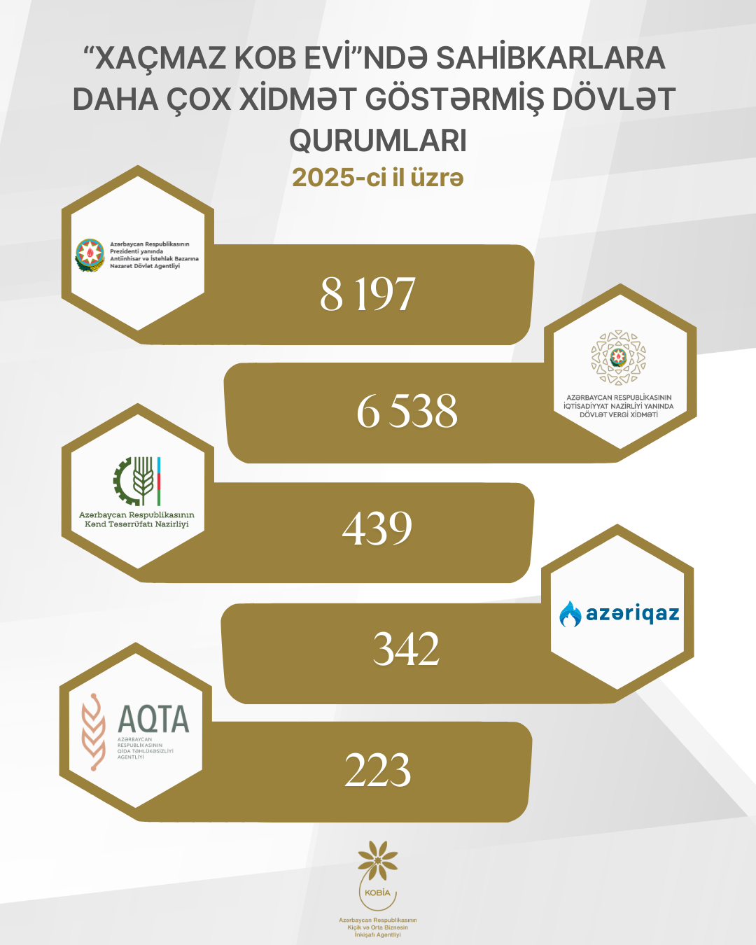 Sahibkarlar 2025-ci ildə daha çox hansı xidmətlərdən istifadə ediblər (FOTO)