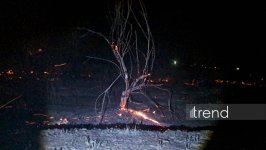 Beyləqanda kolluq sahədə başlayan yanğın meşə zolağına keçdi (FOTO)