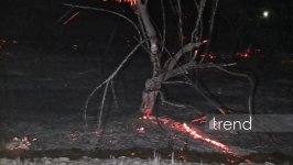 Beyləqanda kolluq sahədə başlayan yanğın meşə zolağına keçdi (FOTO)