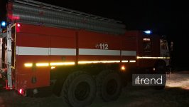 Beyləqanda kolluq sahədə başlayan yanğın meşə zolağına keçdi (FOTO)