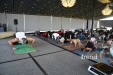 Bakıda IX Yoqa Festivalı keçirildi (FOTO)