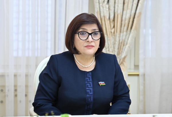 Sahibə Qafarova Gürcüstan parlamentinin nümayəndəsi ilə sülh prosesini müzakirə etdi