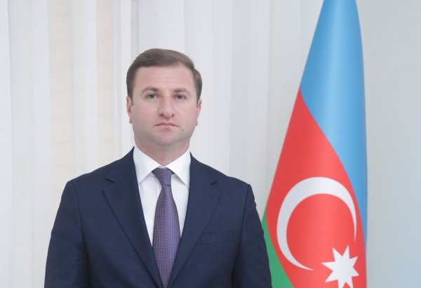 Bu icra başçısına yeni müavin təyin edildi