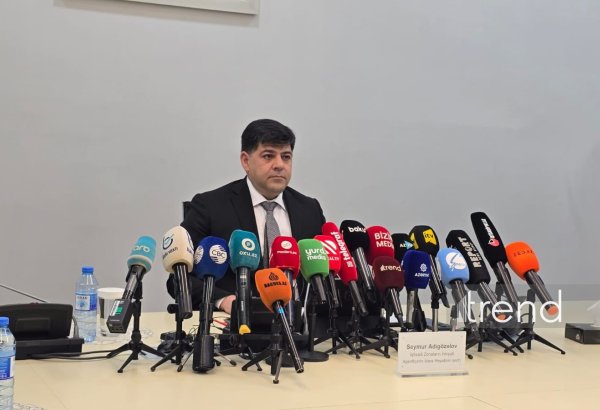 Bu il Naxçıvan Sənaye Parkına ilk rezident qeydiyyatın baş tutacağı gözlənilir
