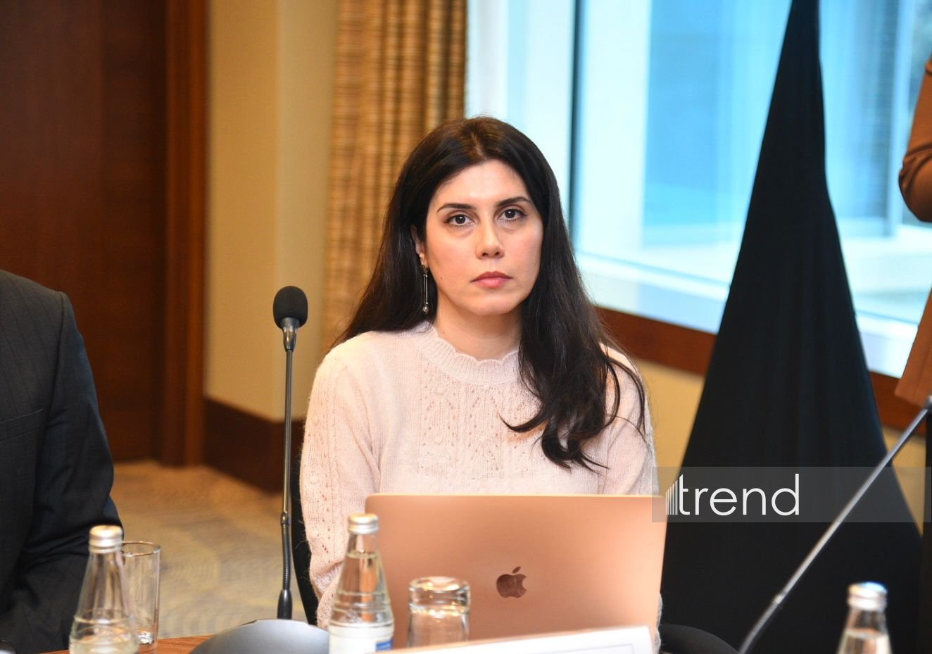 Bakıda su təhlükəsizliyinə həsr olunmuş dəyirmi masa keçirilib (FOTO)