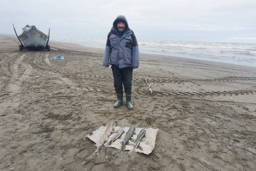 Son iki ayda qanunsuz balıq ovu faktı üzrə 15 000 manat məbləğində cərimə tətbiq olunub (FOTO)