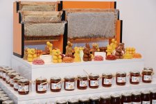 Heydər Əliyev Fondunun vitse-prezidenti Leyla Əliyeva Qubada arıçı ailəsinin qonağı olub (FOTO)