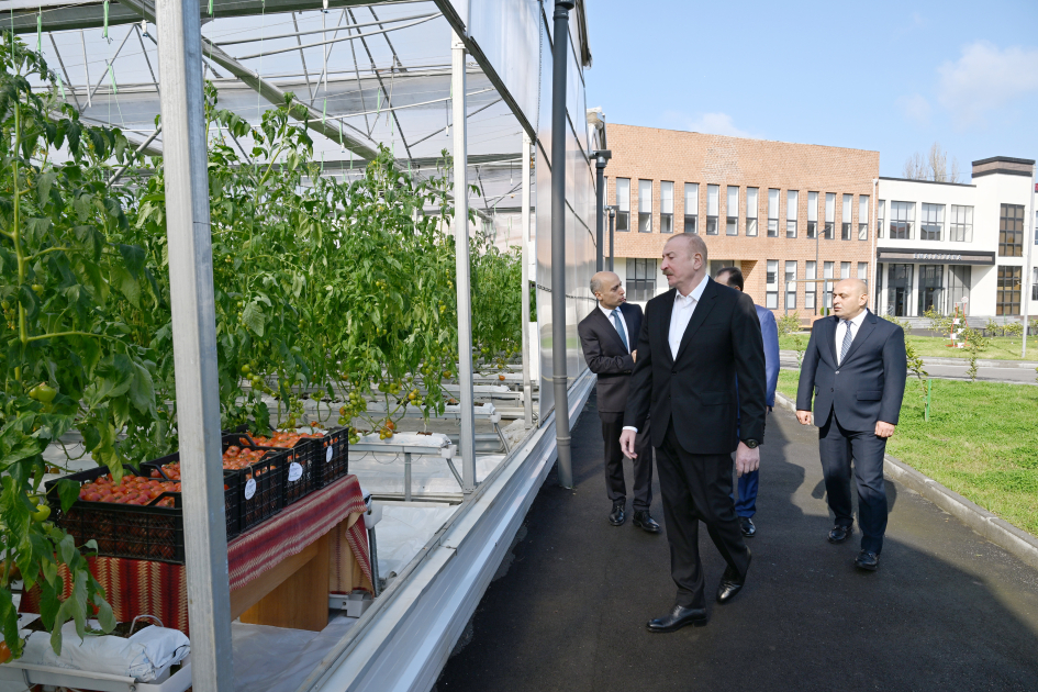 Prezident İlham Əliyev Lənkəran Dövlət Peşə Təhsil Mərkəzinin açılışında iştirak edib (FOTO)