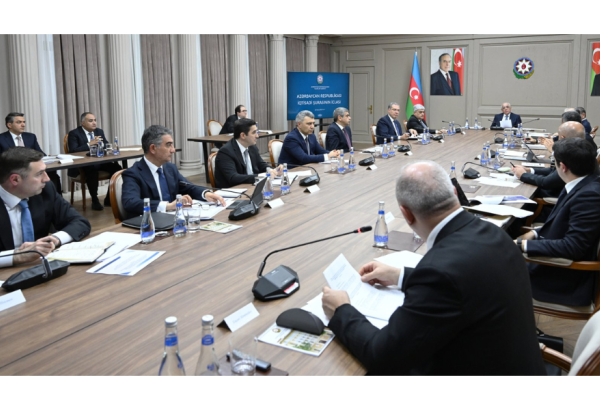 İqtisadi Şuranın növbəti iclası keçirildi (FOTO)
