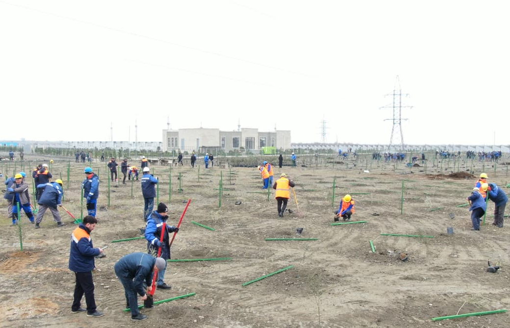 “AzərEnerji” ağacəkmə və anım tədbiri keçirib (FOTO)