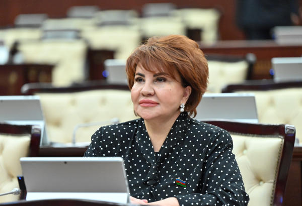 Təhlükəsizlik orqanları dövlətimizin suverenliyini və milli maraqlarını qətiyyətlə qoruyur – Deputat