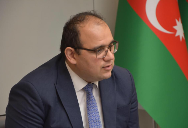 Hazırda onlarla ölkə ilə viza rejiminin sadələşdirilməsi istimqamətində danışıqlar aparılır – XİN rəsmisi