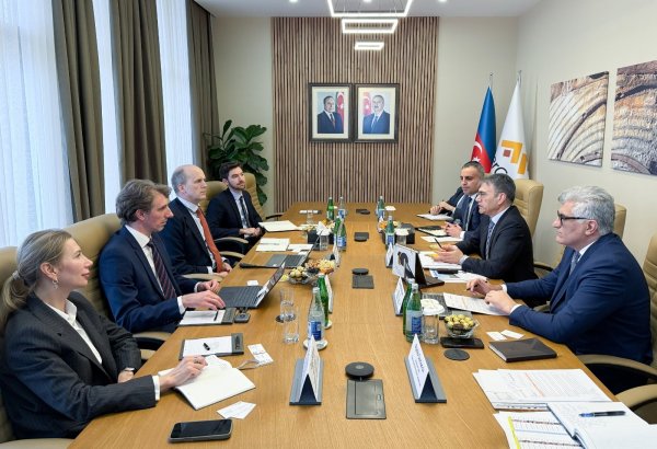 Zakir İbrahimov “Wood Mackenzie”nin vitse-prezidenti ilə görüşüb