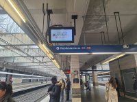 Romada Xocalı soyqırımı ilə bağlı məlumatlandırma kampaniyası keçirilir (FOTO)