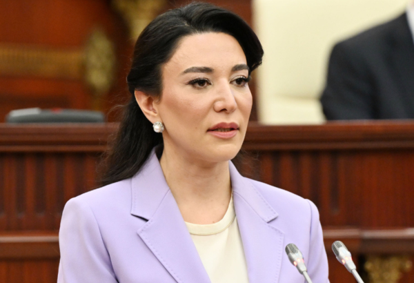 Milli Məclis Ombudsmanın məruzəsini qəbul edib