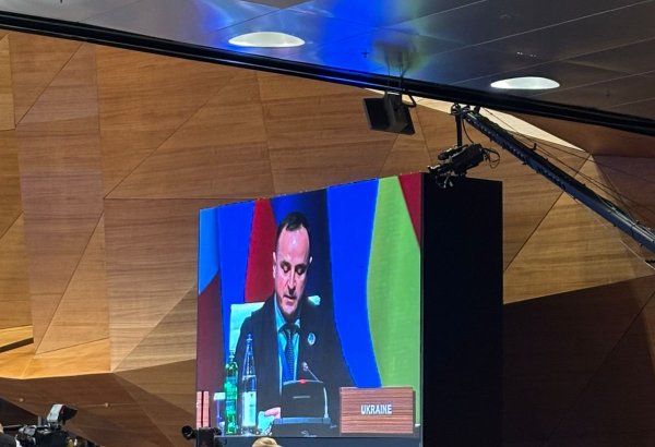Aİ, Azərbaycan və Ukrayna Avropanın yeni enerji arxitekturasını formalaşdırır - Nazir müavini