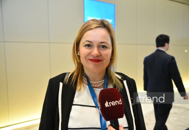 Bolqarıstan enerji sektorunda Azərbaycanla əməkdaşlığın genişləndirilməsində maraqlıdır (ÖZƏL MÜSAHİBƏ)