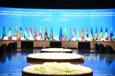 Bakıda Cənub Qaz Dəhlizi və "yaşıl enerji" üzrə Məşvərət Şuralarının iclasları keçirilir (FOTO)