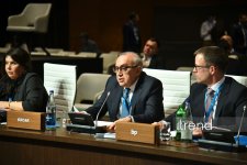 Bakıda Cənub Qaz Dəhlizi və "yaşıl enerji" üzrə Məşvərət Şuralarının iclasları keçirilir (FOTO)