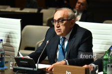 Bakıda Cənub Qaz Dəhlizi və "yaşıl enerji" üzrə Məşvərət Şuralarının iclasları keçirilir (FOTO)