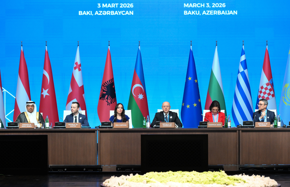 Leyla Əliyeva “Yaşıl enerji layihələri” sessiyasında çıxış edib (FOTO)