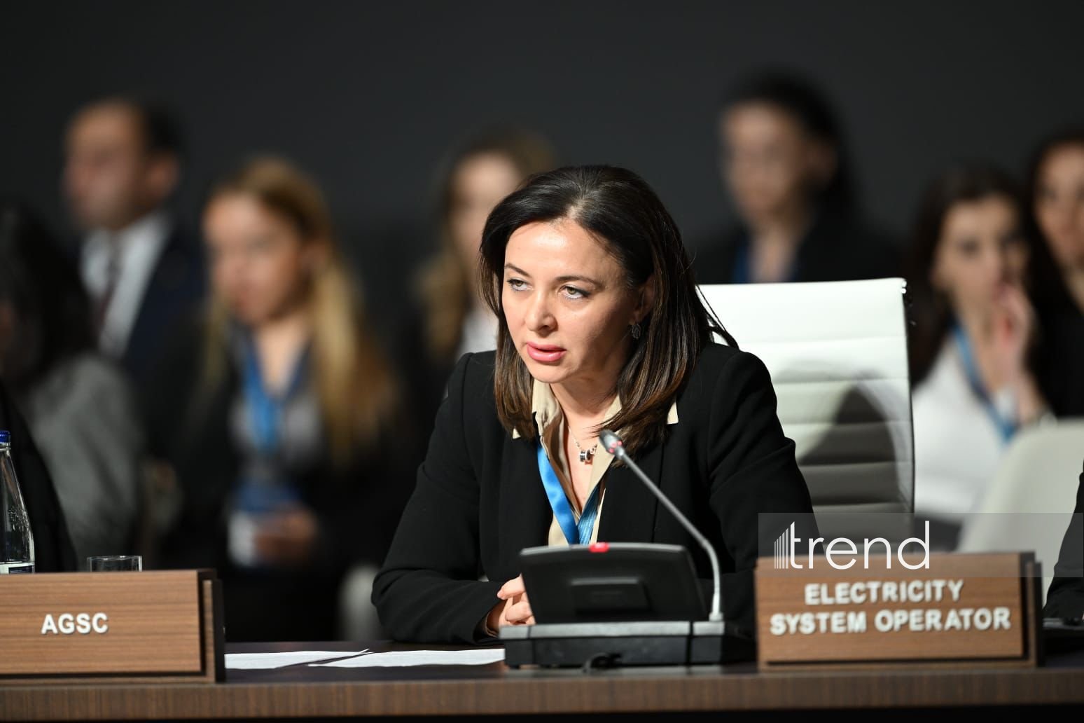 Cənub Qaz Dəhlizinin yüksək effektivliyi yeni bazar imkanları və artım perspektivləri yaradır - AGSC