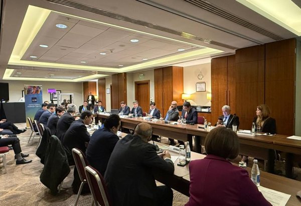 Mərkəzi Asiya-Azərbaycan Yaşıl Enerji Dəhlizi layihəsi üzrə müzakirələr aparılıb (FOTO)