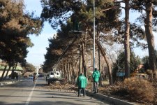 Suraxanı rayonunda genişmiqyaslı abadlıq və təmizlik işləri aparılır (FOTO)