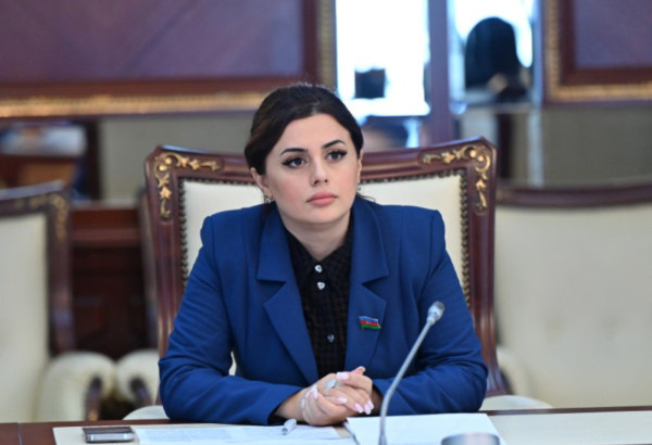 İranın Azərbaycan ərazisinə bu hücumu qeyri-dost addımdır - Deputat