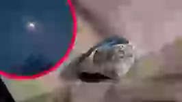 Almaniyada evə meteorid düşüb (VİDEO)