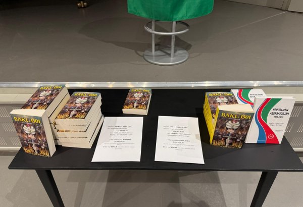 Stokholmda “Bakı 1501” tarixi romanının təqdimatı keçirilib (FOTO)