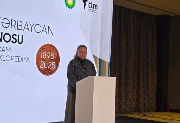 Film istehsalı üzrə son üç ildə Azərbaycana 10 milyon dollar cəlb edilib - Nazir müavini