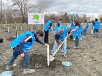 IDEA-nın aksiyası zamanı Zaqatalada 800-dən çox ağac əkilib (FOTO)