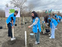 IDEA-nın aksiyası zamanı Zaqatalada 800-dən çox ağac əkilib (FOTO)