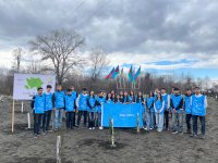 IDEA-nın aksiyası zamanı Zaqatalada 800-dən çox ağac əkilib (FOTO)