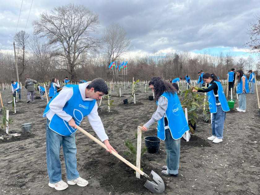 IDEA-nın aksiyası zamanı Zaqatalada 800-dən çox ağac əkilib (FOTO)