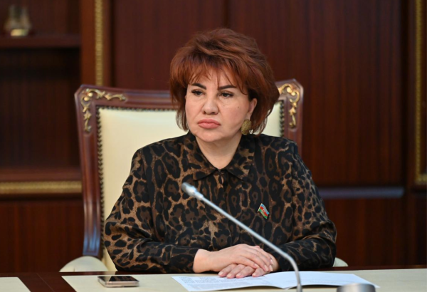 Azərbaycan Antalya platformasında təşəbbüskar aktor kimi çıxış etdi - RƏY