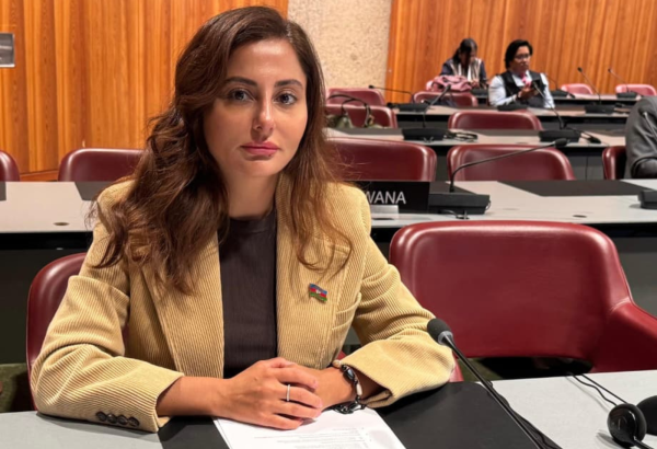 Azərbaycan regional təhlükəsizliyə önəm verir