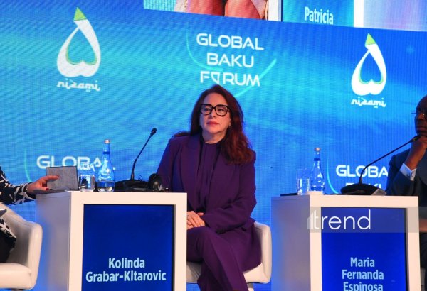 Çoxşaxəlilik hər bir ölkənin səsinin olduğu ümumdünya sahəsidir - Mariya Fernanda Espinoza