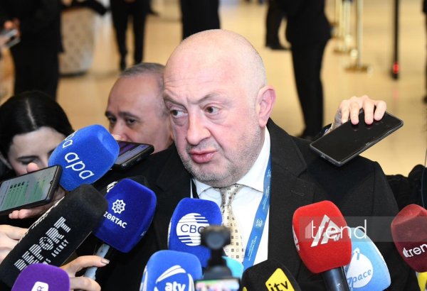 Qlobal Bakı Forumunda regionun gələcəyi müzakirə olunur - Gürcüstanın keçmiş prezidenti