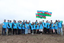 Şəki və Qəbələdə 1500-ə yaxın ağac əkilib (FOTO)