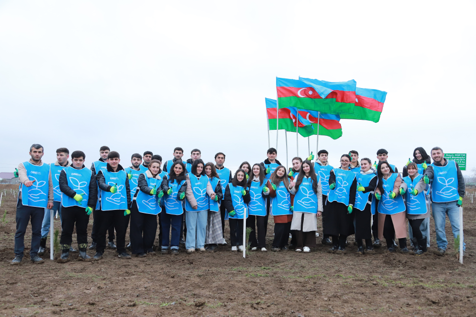 Şəki və Qəbələdə 1500-ə yaxın ağac əkilib (FOTO)